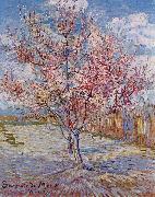 Vincent Van Gogh Flowering Orchards